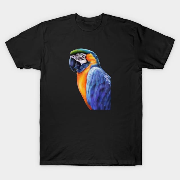 Macaw T-Shirt by Tim Jeffs Art